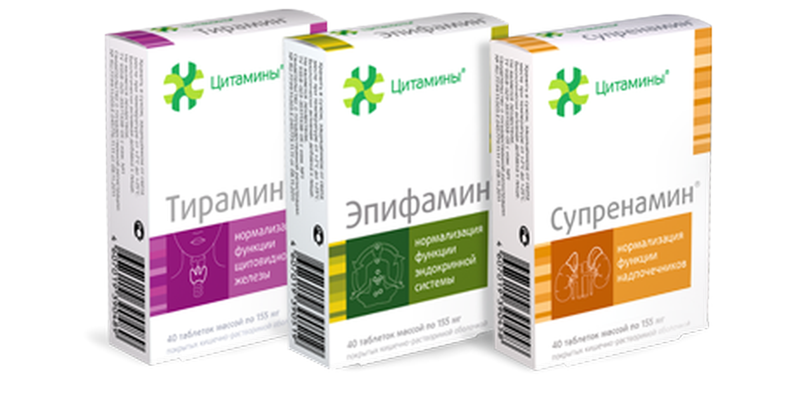 Complex of cytamins for the endocrine system buy